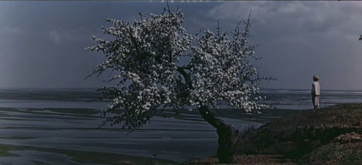 La Desna enchantée (1964), de Ioulia Solntseva