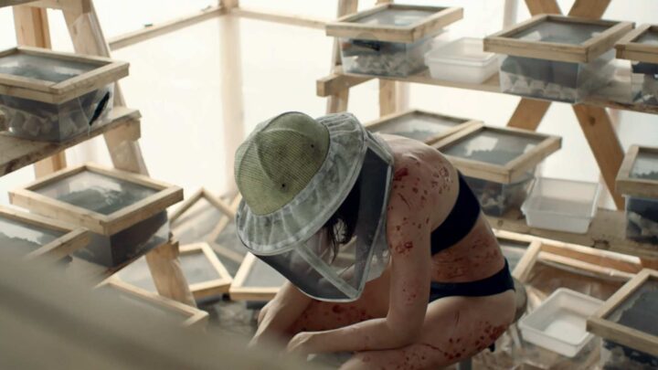 La Nuée, de Just Philippot (2020)